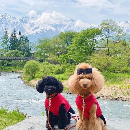 Hotel 白馬パウダーマウンテン Hakuba Zewnętrze zdjęcie