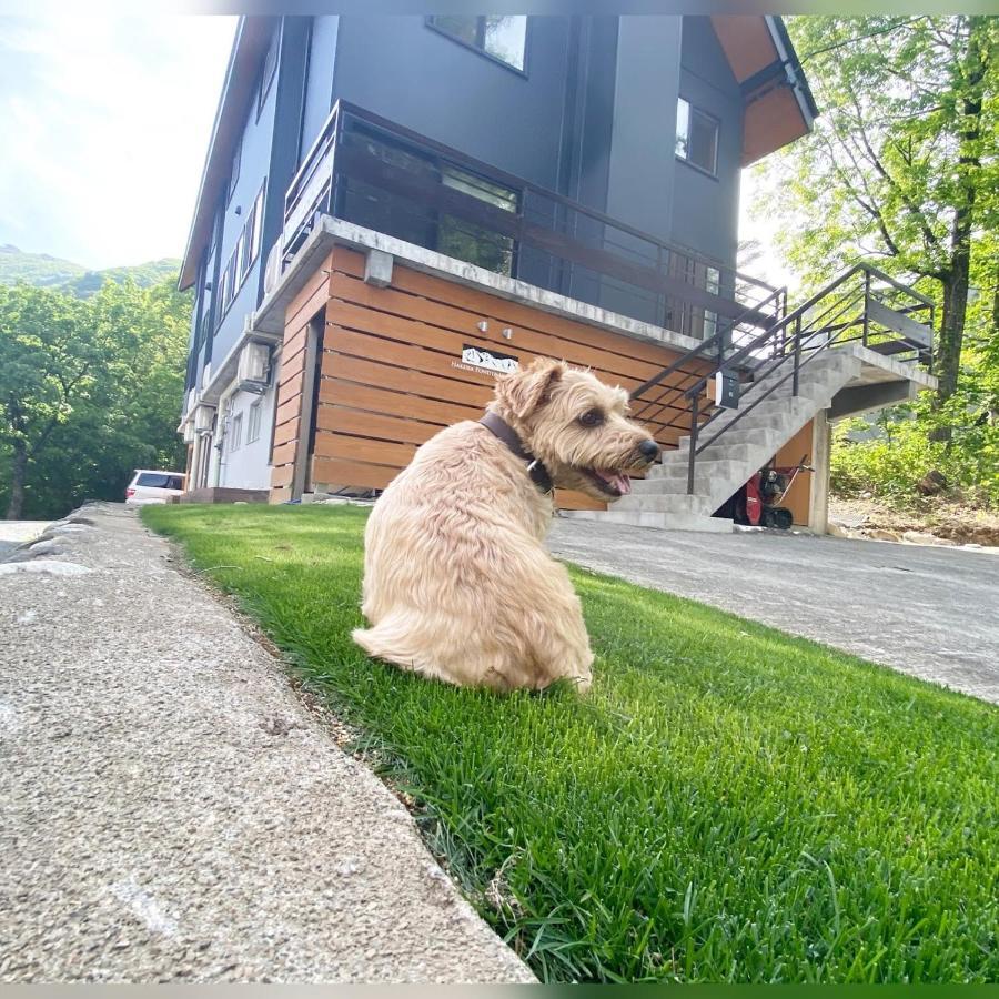 Hotel 白馬パウダーマウンテン Hakuba Zewnętrze zdjęcie