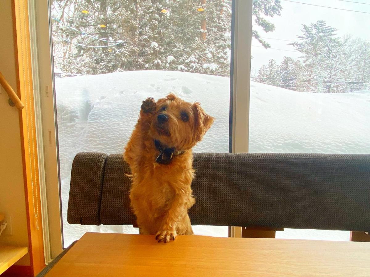 Hotel 白馬パウダーマウンテン Hakuba Zewnętrze zdjęcie