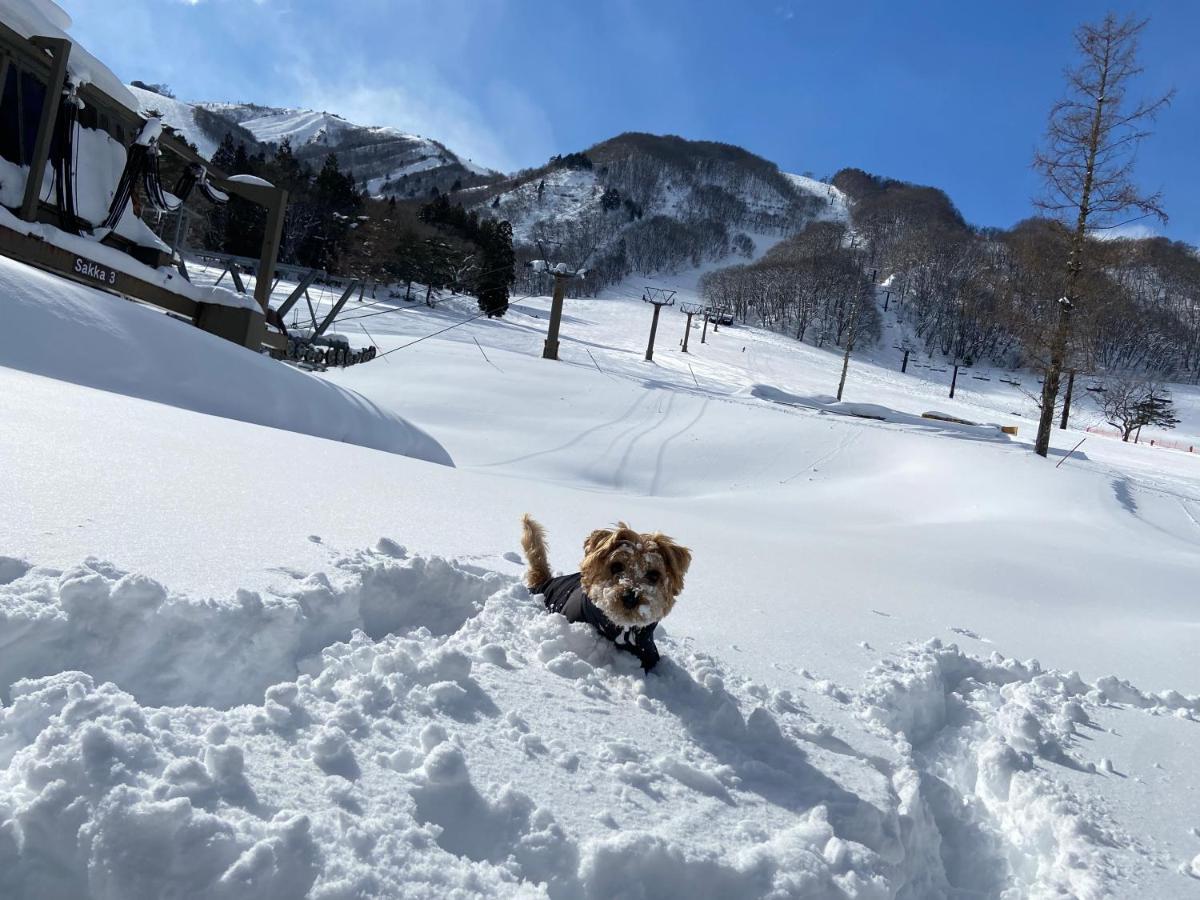 Hotel 白馬パウダーマウンテン Hakuba Zewnętrze zdjęcie