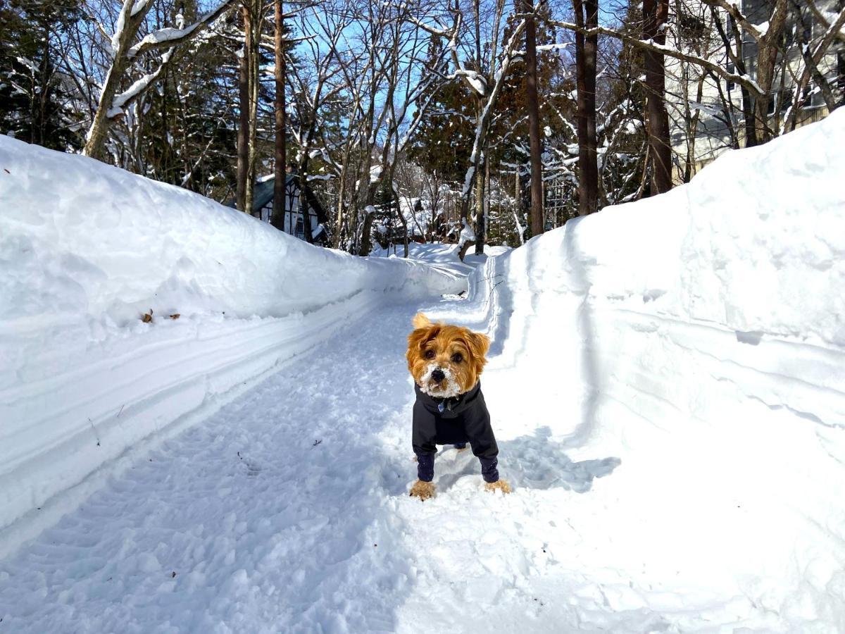Hotel 白馬パウダーマウンテン Hakuba Zewnętrze zdjęcie