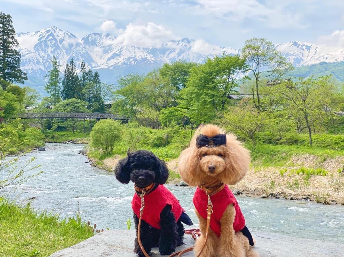 Hotel 白馬パウダーマウンテン Hakuba Zewnętrze zdjęcie